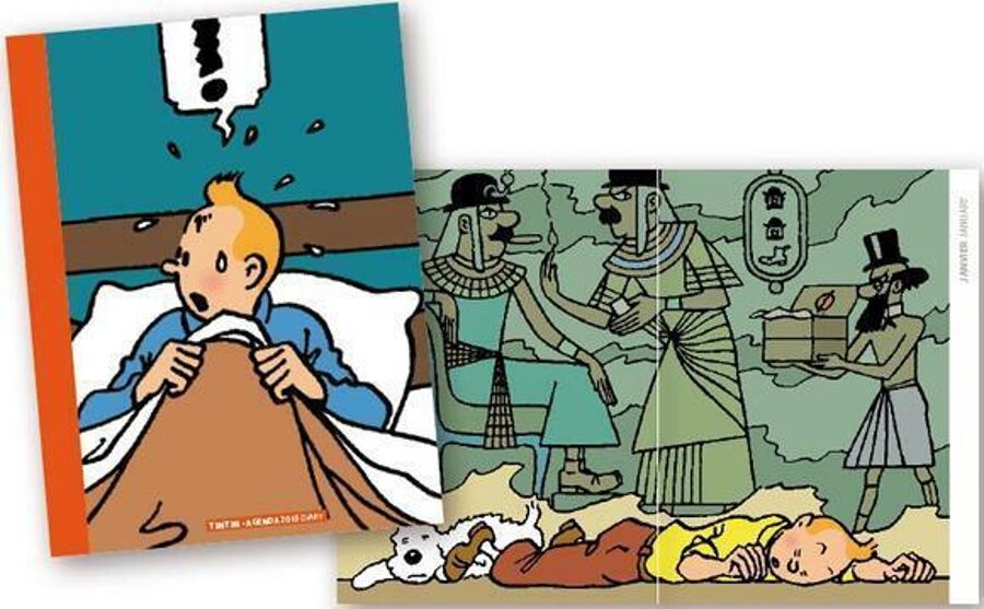 Tintin Agenda Diary 2015 